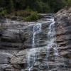 _DSC1100