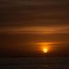 _DSC0881