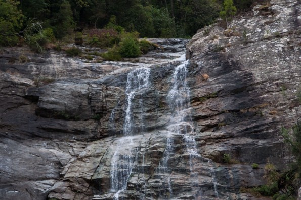 _DSC1100