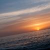 _DSC0906