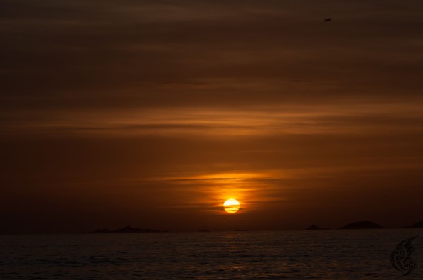 _DSC0881