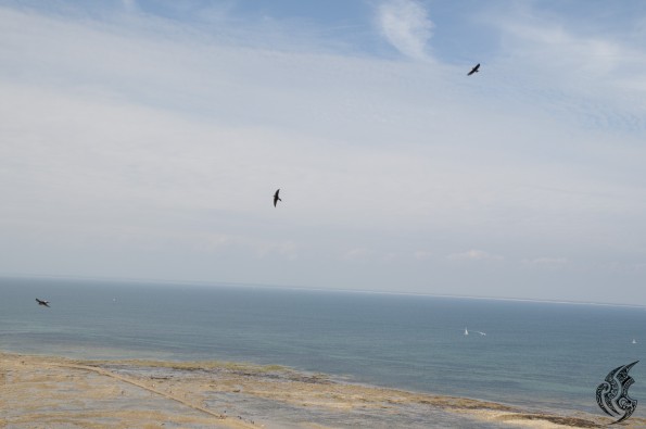 _DSC0173