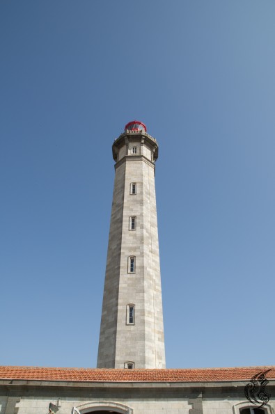 _DSC0138