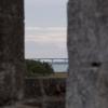 _DSC0299