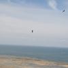 _DSC0173