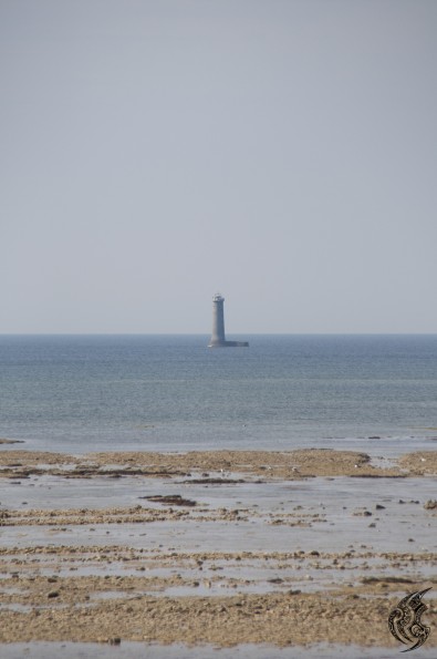 _DSC0120