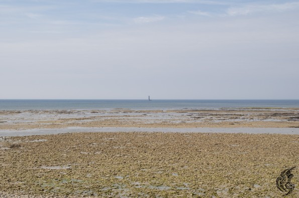 _DSC0119