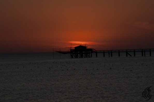 DSC_0052