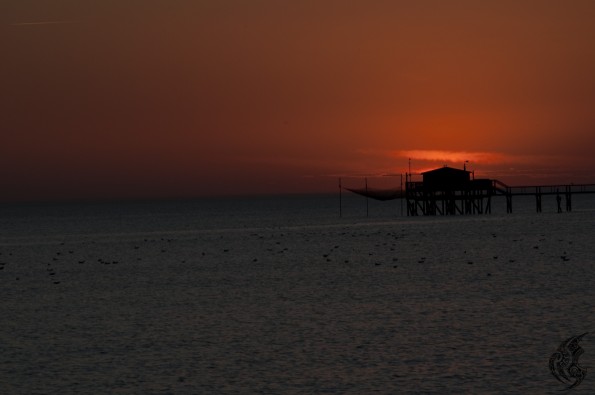 DSC_0051