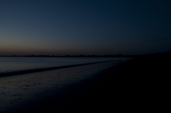 DSC_0081