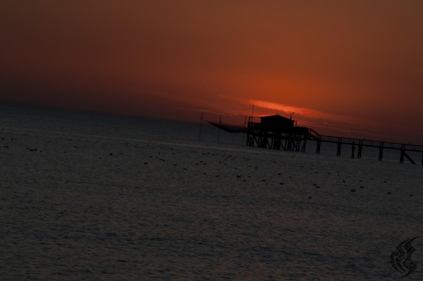 DSC_0053