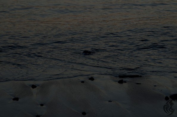 DSC_0069