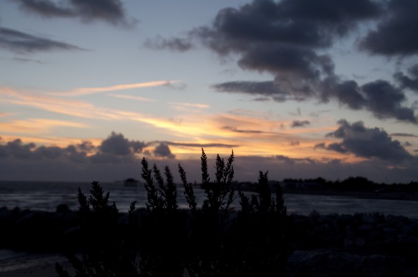 DSC_0272