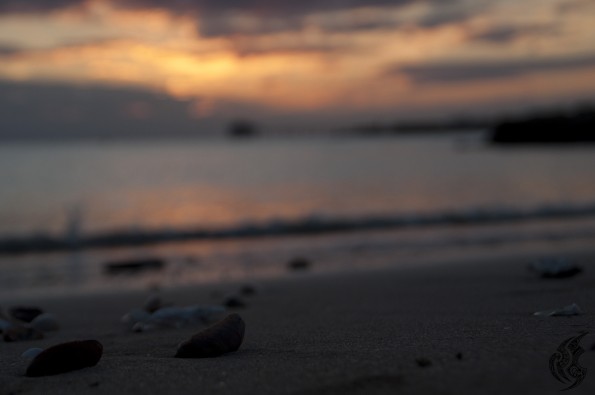 DSC_0078