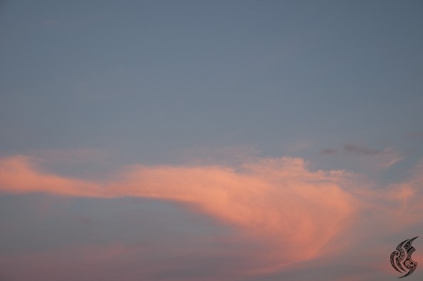 _DSC0572