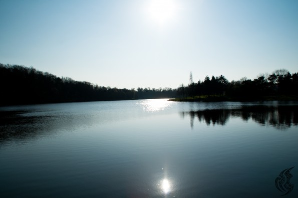 _DSC0130