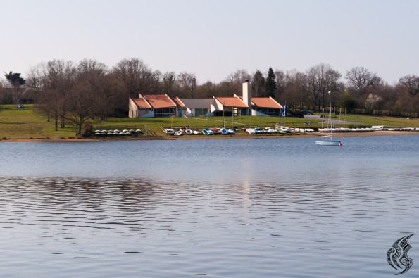 _DSC0029