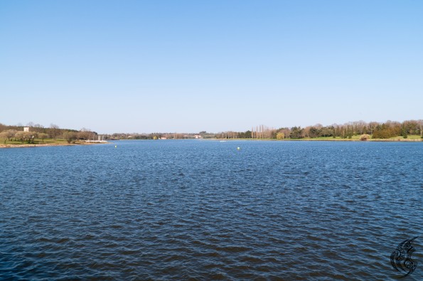 _DSC0014