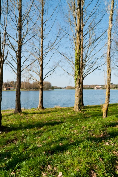 _DSC0072