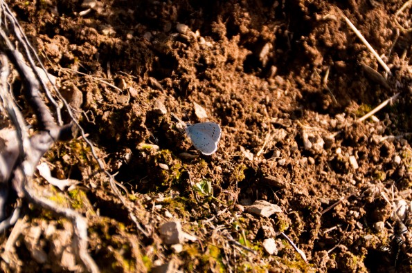 _DSC0076