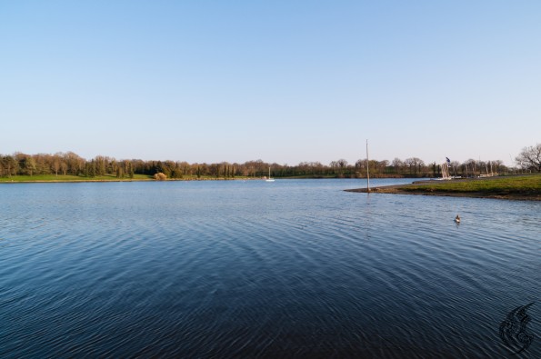 _DSC0171