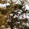_DSC0058