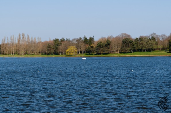 _DSC0010