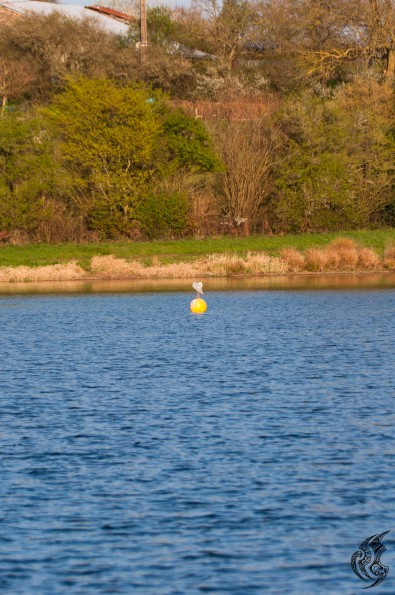 _DSC0157