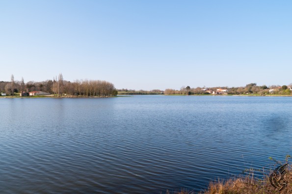 _DSC0074