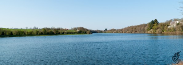 _DSC0116