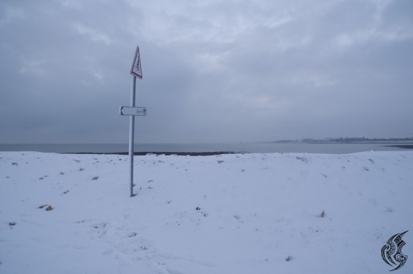 DSC_0120
