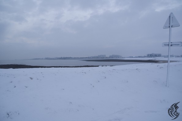 DSC_0126