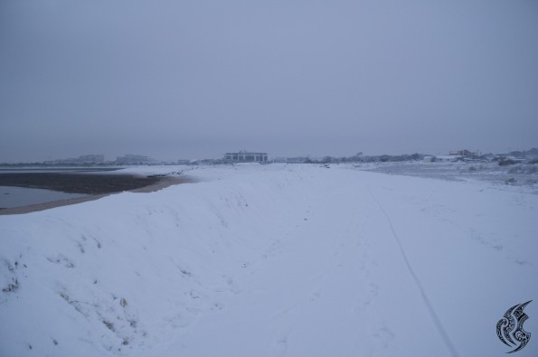 DSC_0112