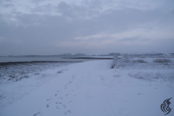 DSC_0129