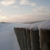 02-12-2010 - Sous la neige