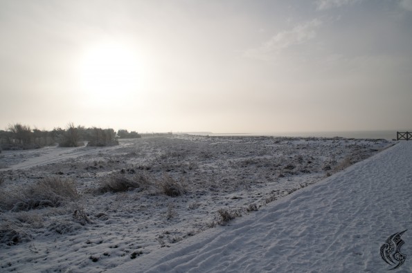 DSC_0383
