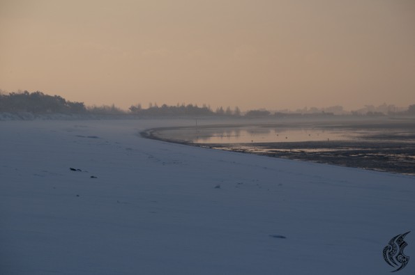 DSC_0250