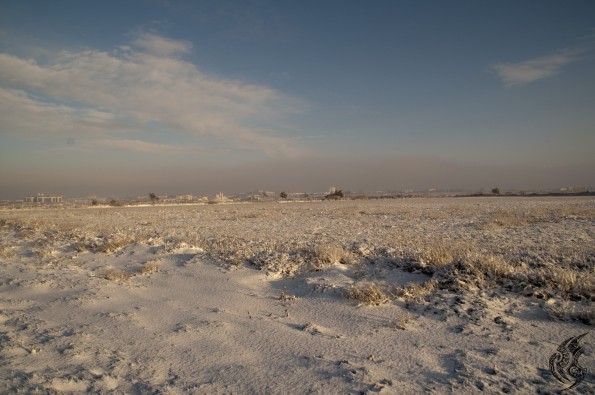 DSC_0302