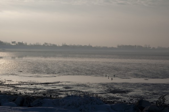 DSC_0276