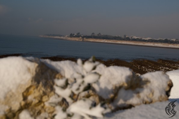 DSC_0372