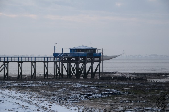 DSC_0185