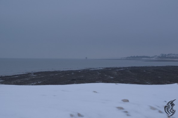 DSC_0108