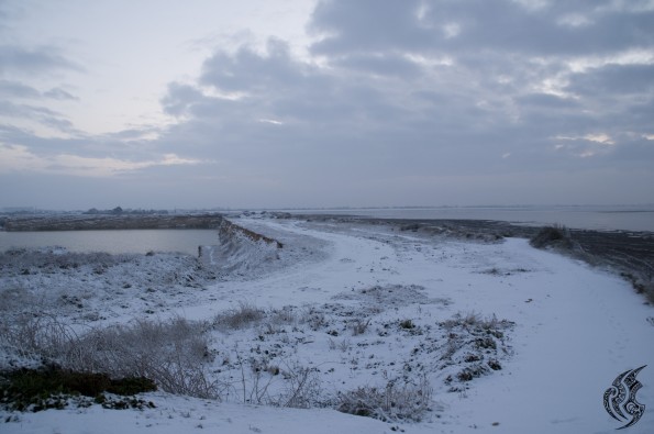DSC_0155
