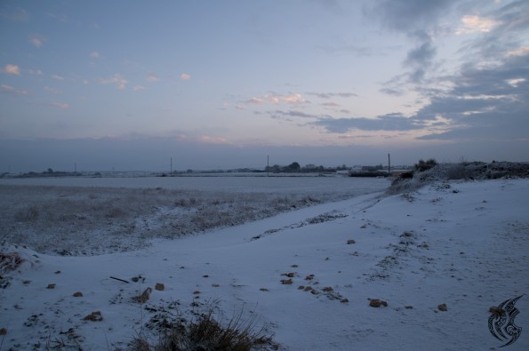 DSC_0164
