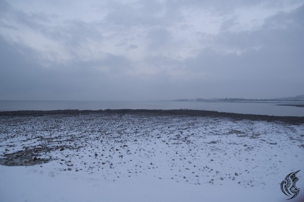 DSC_0128