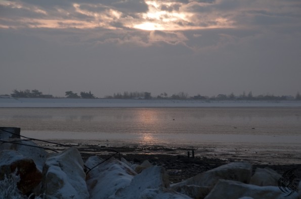 DSC_0195