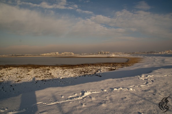 DSC_0315