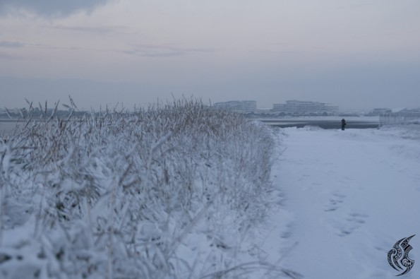 DSC_0148