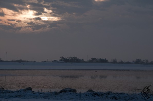 DSC_0198