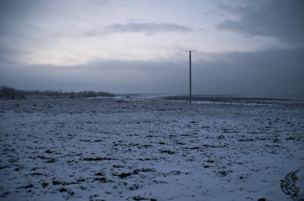 DSC_0071